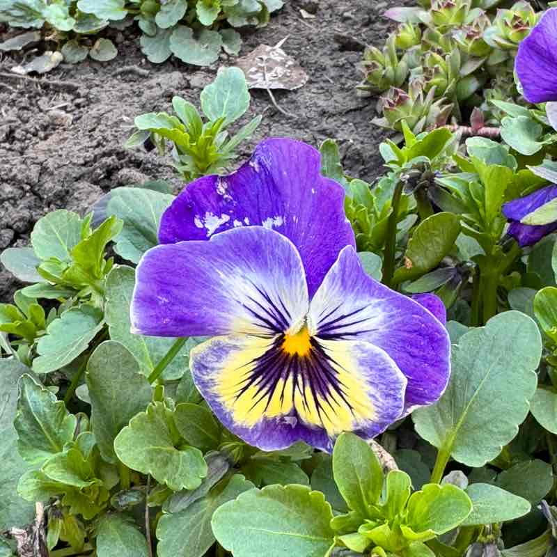 Balakovo64 Marina64🐈‍⬛🍁 post image