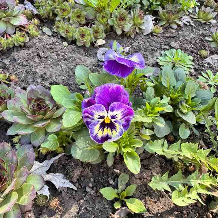 Balakovo64 Marina64🐈‍⬛🍁 post image