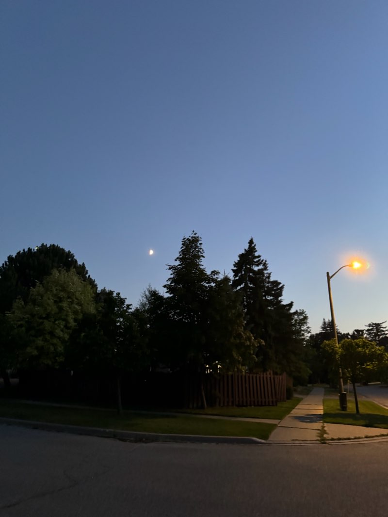walking near me in Maxey Park in winter