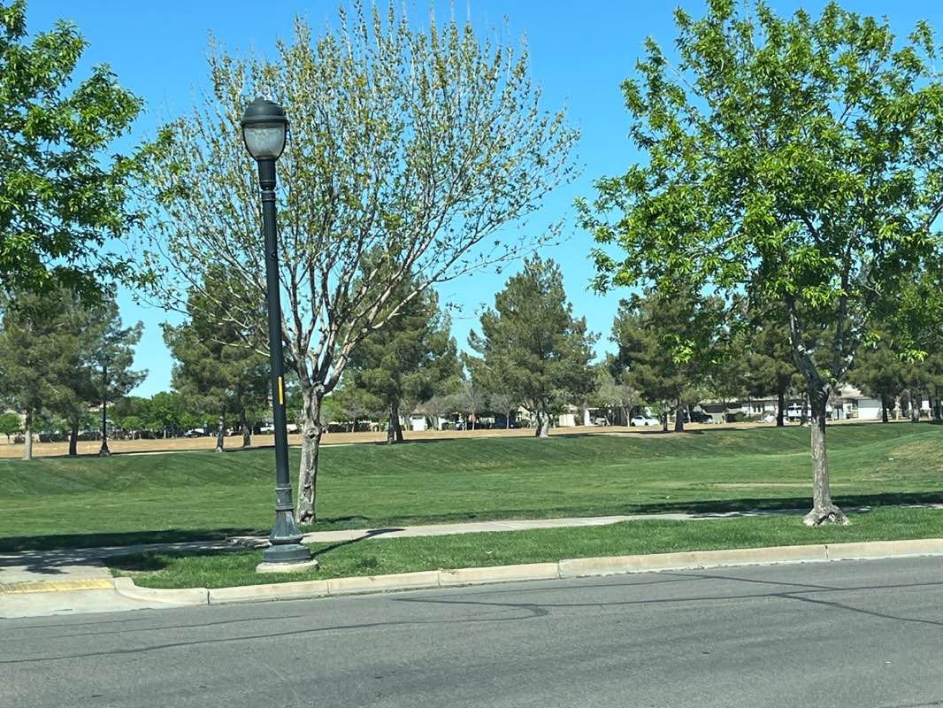 walking near me in Amber Park in spring