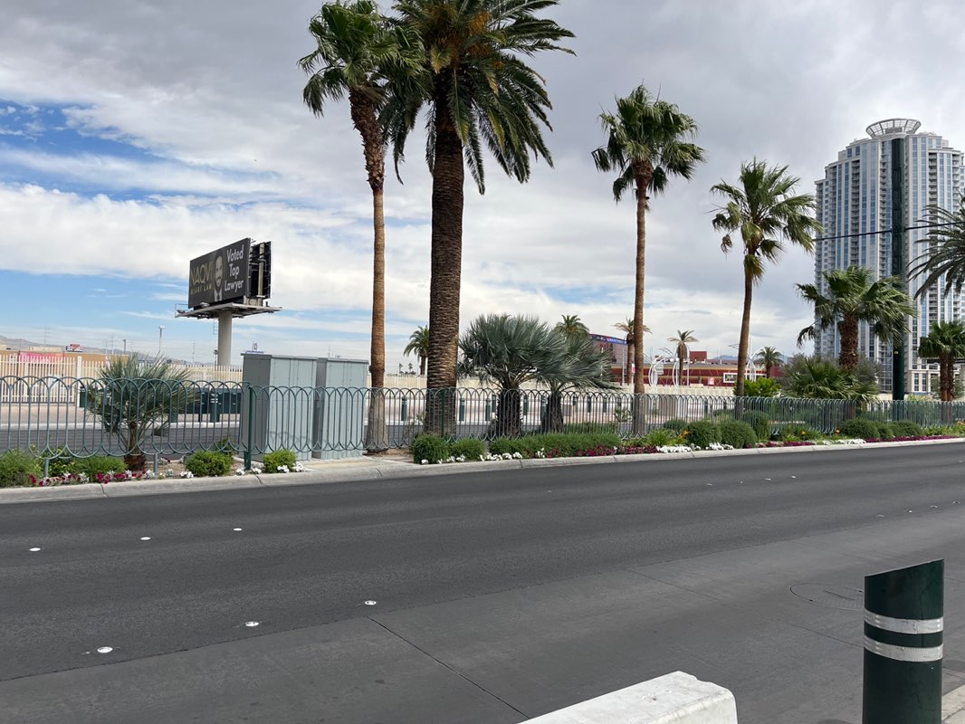 walking near me in Las Vegas Festival Grounds in spring