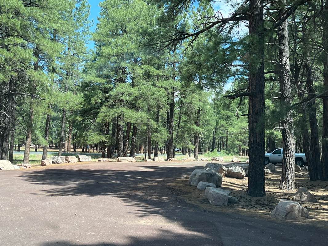 walking near me in Fort Tuthill County Park in summer