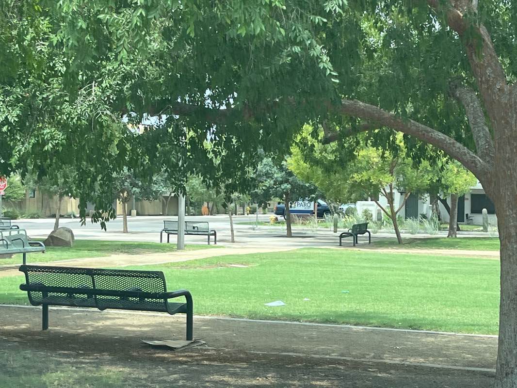 walking near me in Jaycee Park in autumn