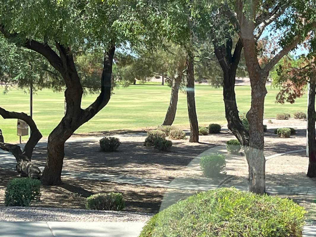 walking near me in Hunt Park in autumn