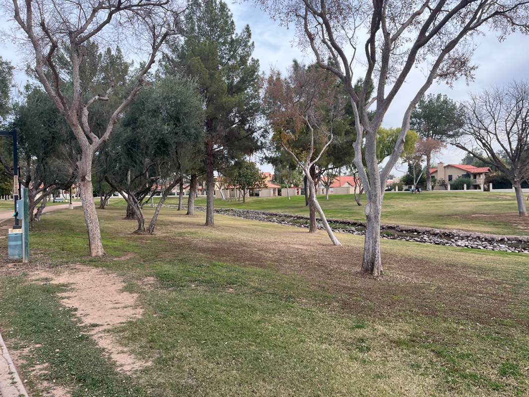 walking near me in Gila Springs Park in winter