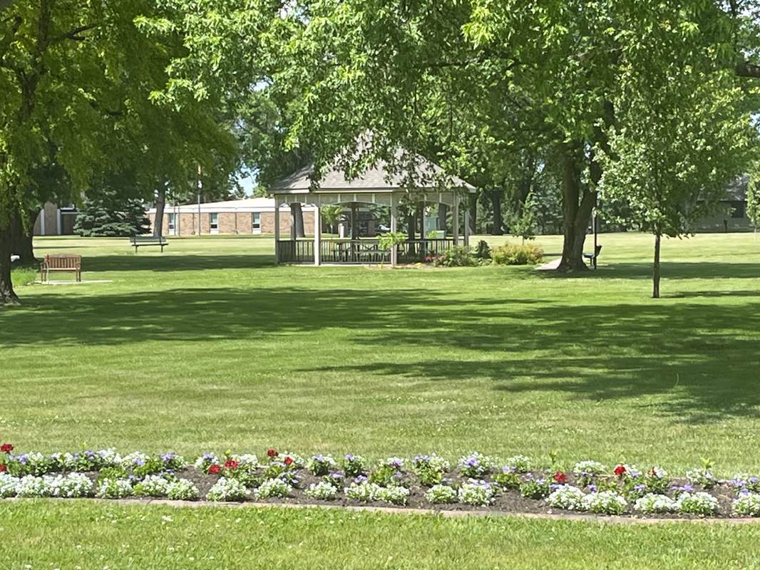 walking near me in Memorial Park in summer