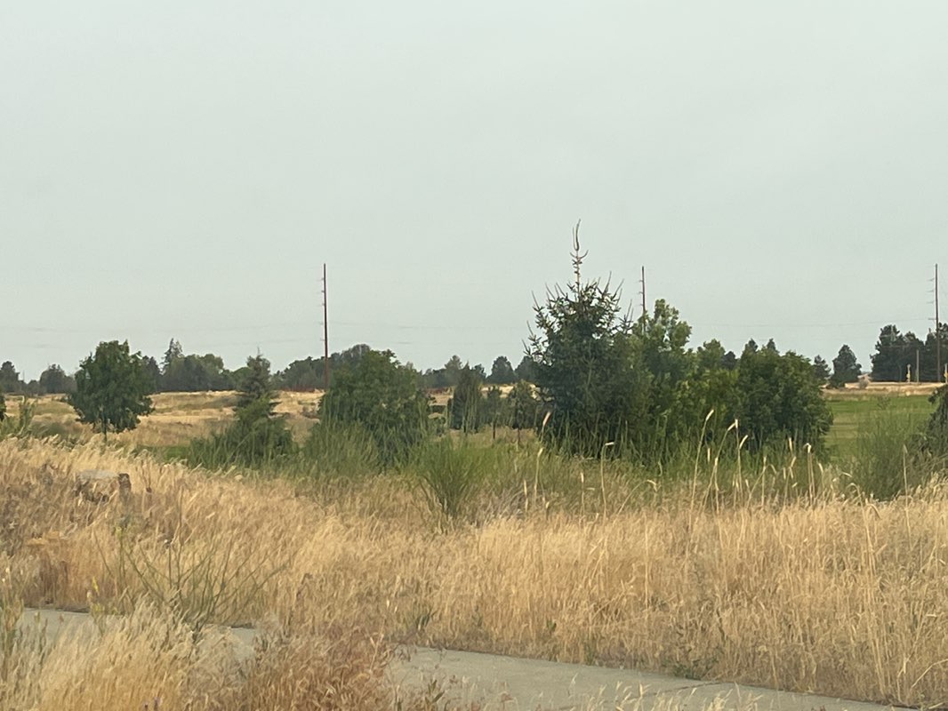 walking near me in Aspen Grove Park in summer