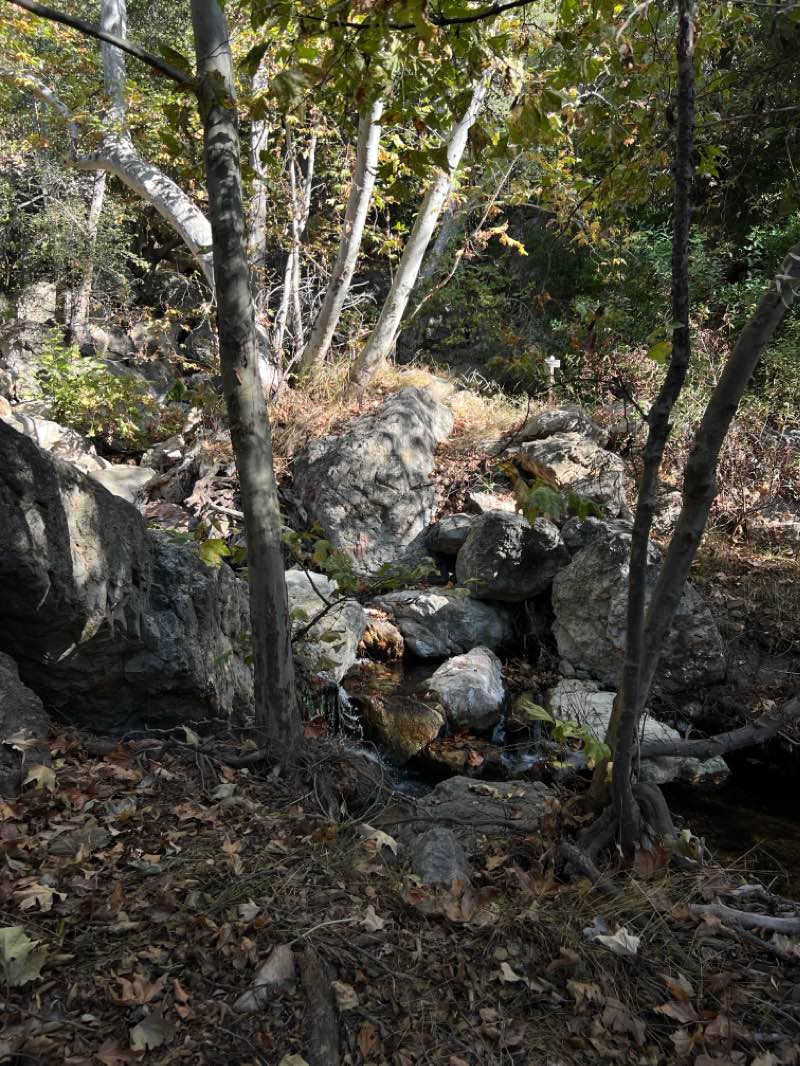 walking near me in Solstice Canyon in winter