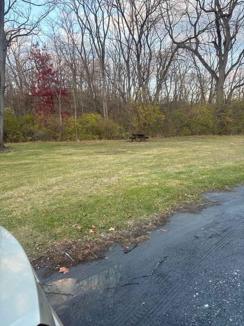 walking near me in Troxell-Steckel House and Farm Museum in autumn