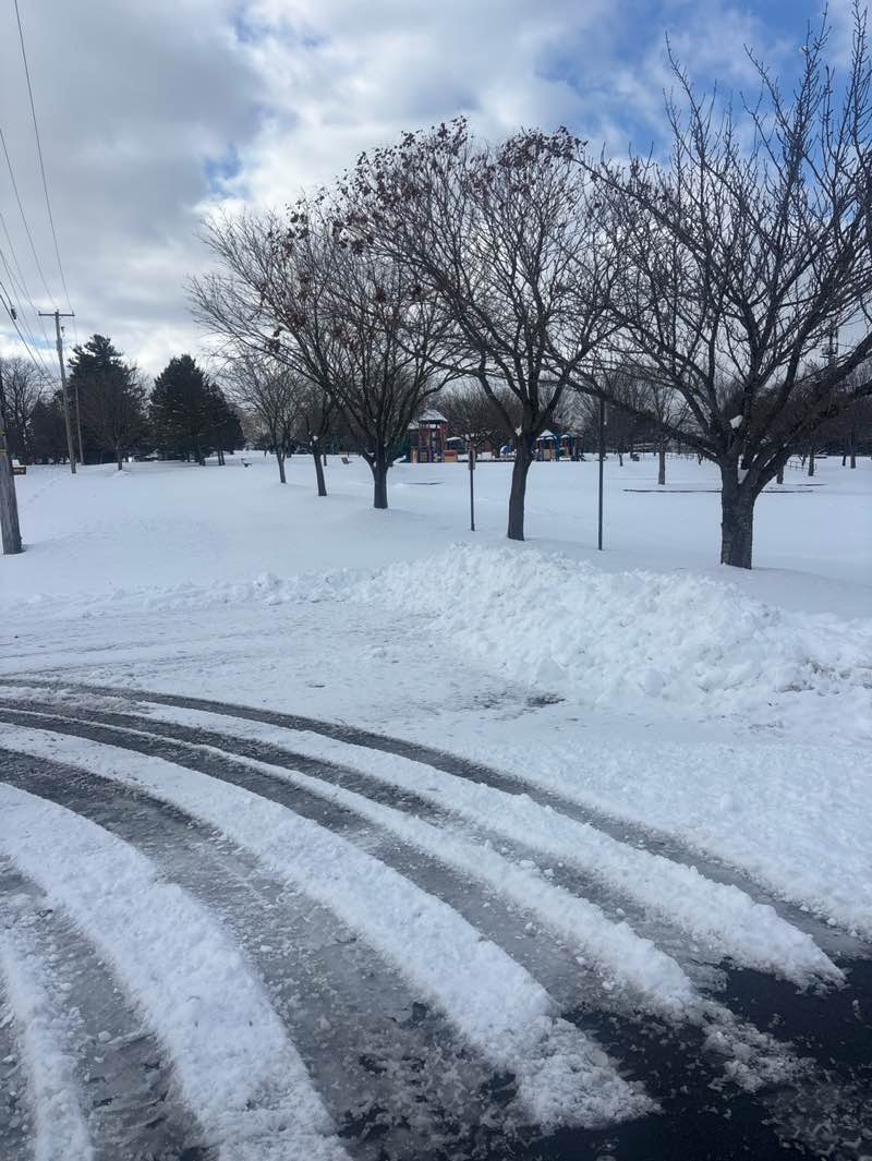 walking near me in Independence Park in winter