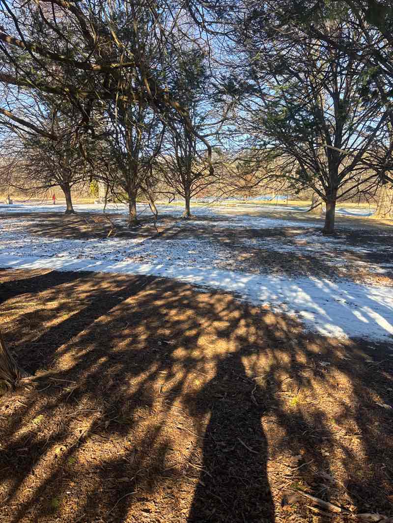 walking near me in Trexler Memorial Park in winter