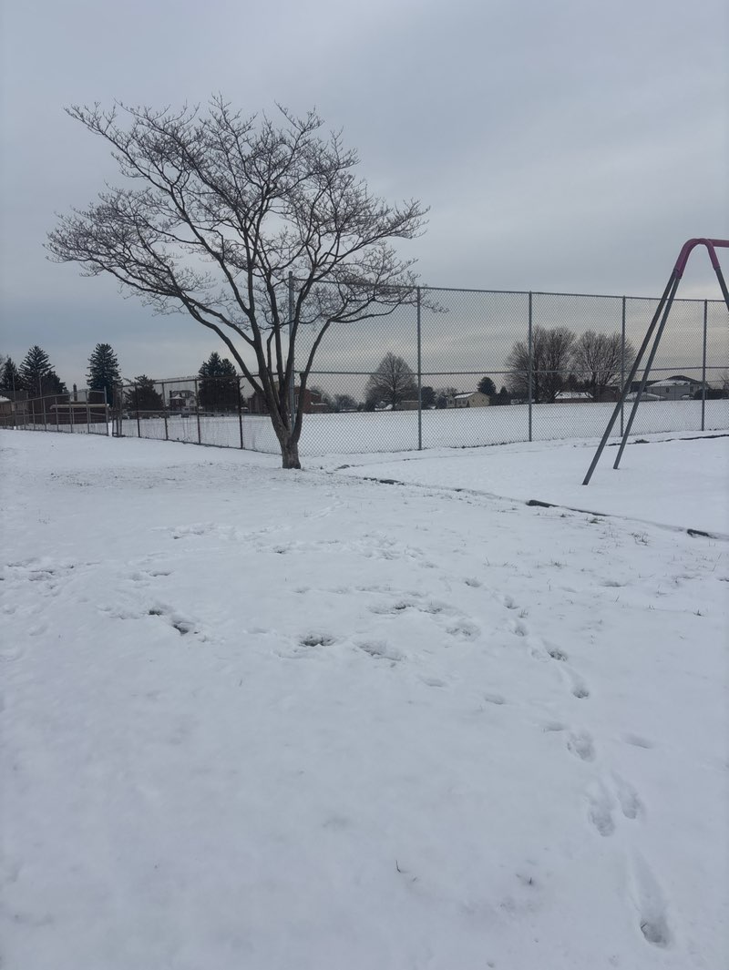 walking near me in Stiles Playground in winter
