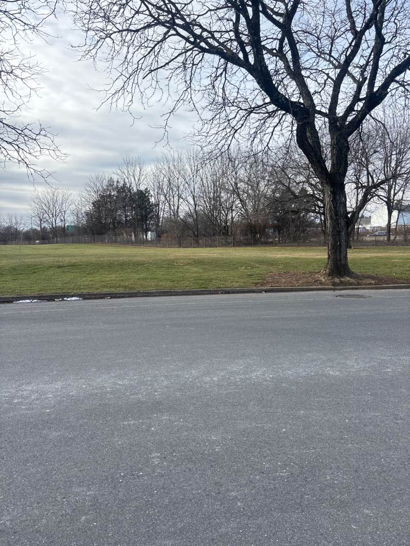 walking near me in Stoneridge Terrace Open Space in winter