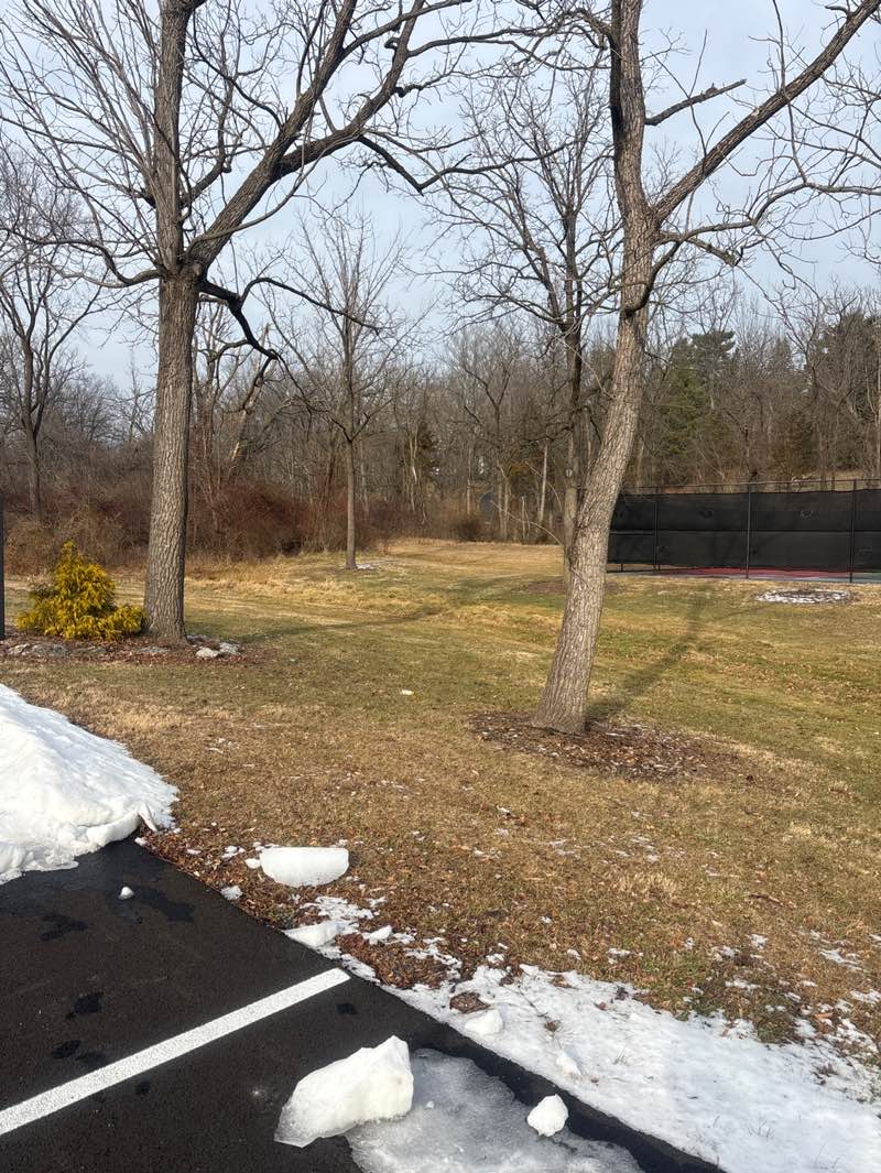 walking near me in Winchester Heights Park in winter