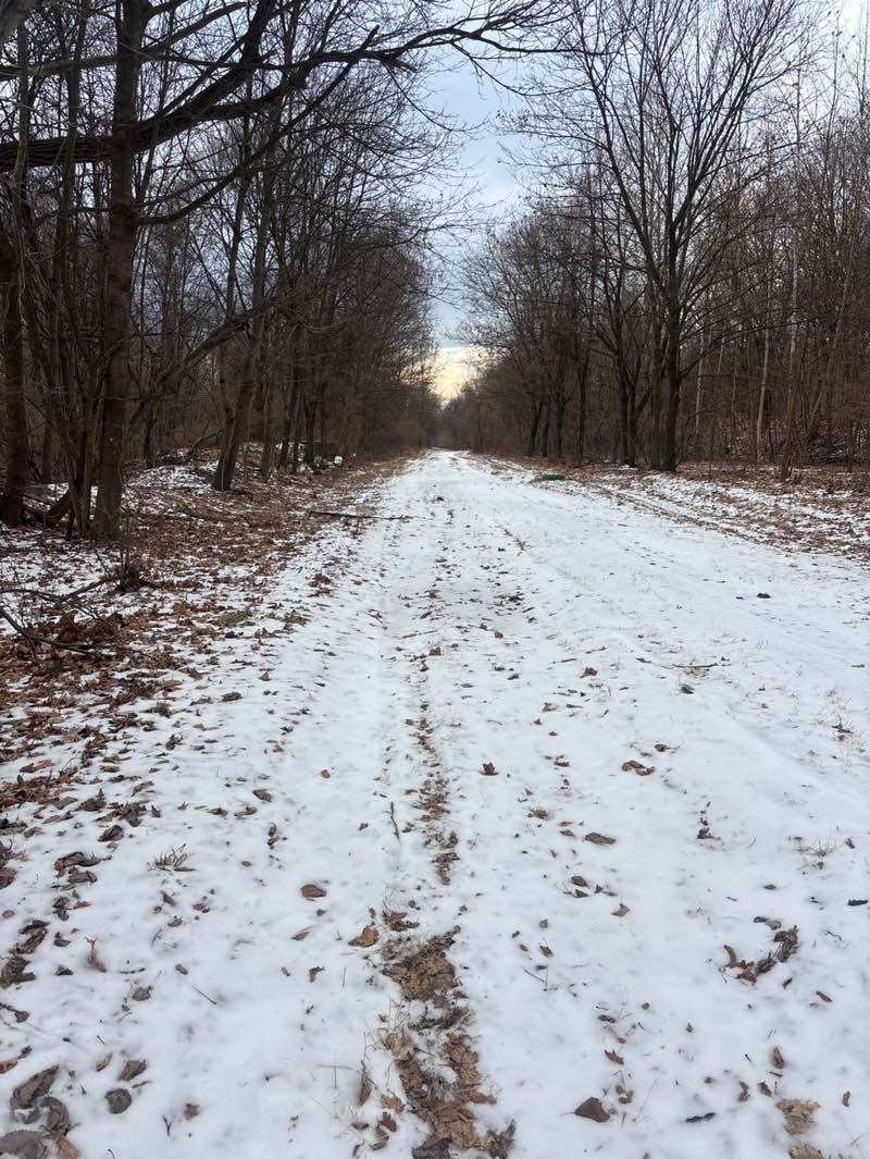 walking near me in Thomas Iron Works Property in winter