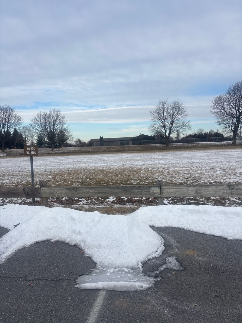 walking near me in Schadt Avenue (Zephyr) Park in winter