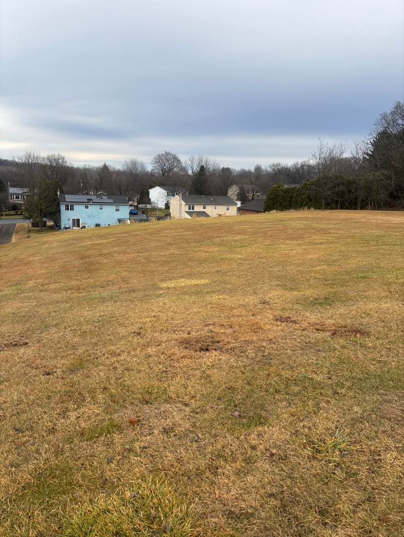 walking near me in Golden Oaks Open Space in winter