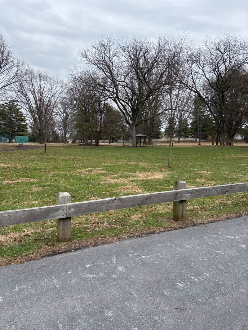 walking near me in Lindberg Park in spring