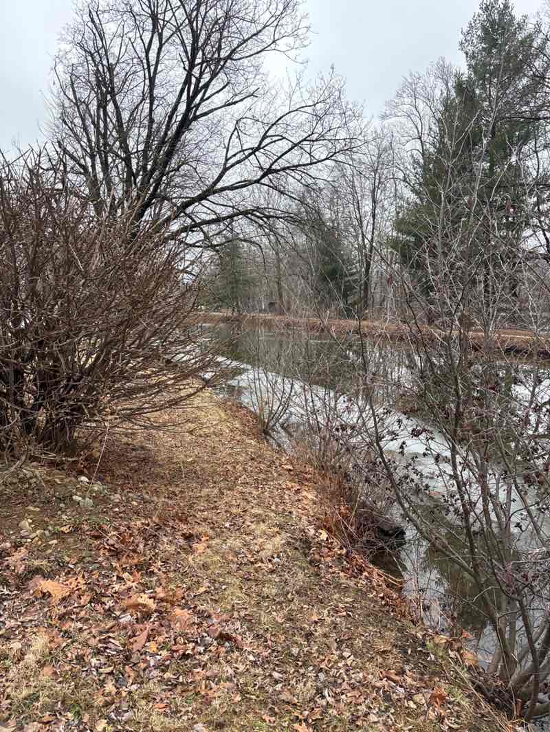 walking near me in Earl F. Snyder Park in spring