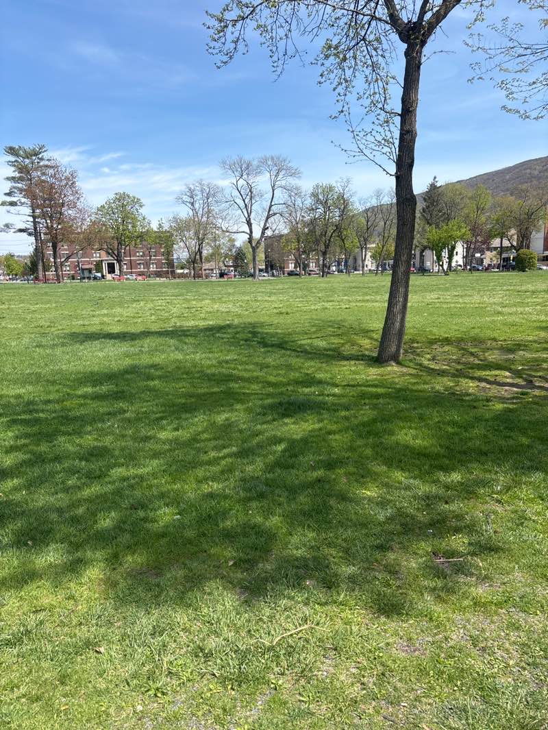 walking near me in Palmerton Borough Park in spring