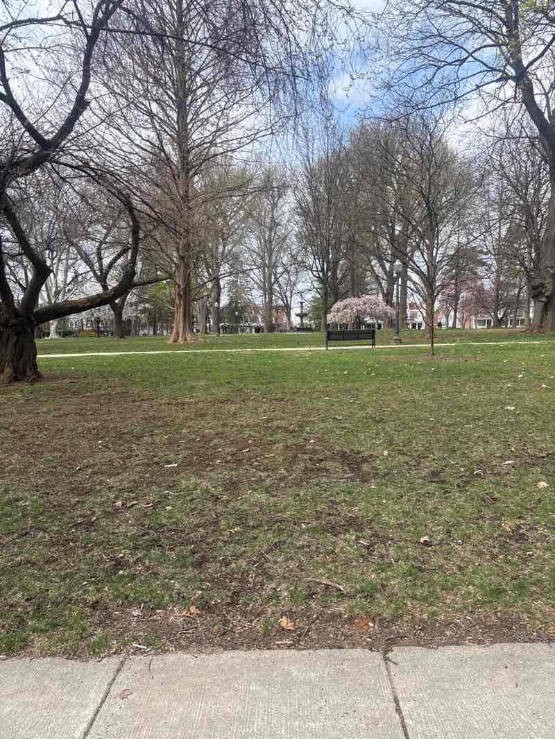 walking near me in West Park in spring