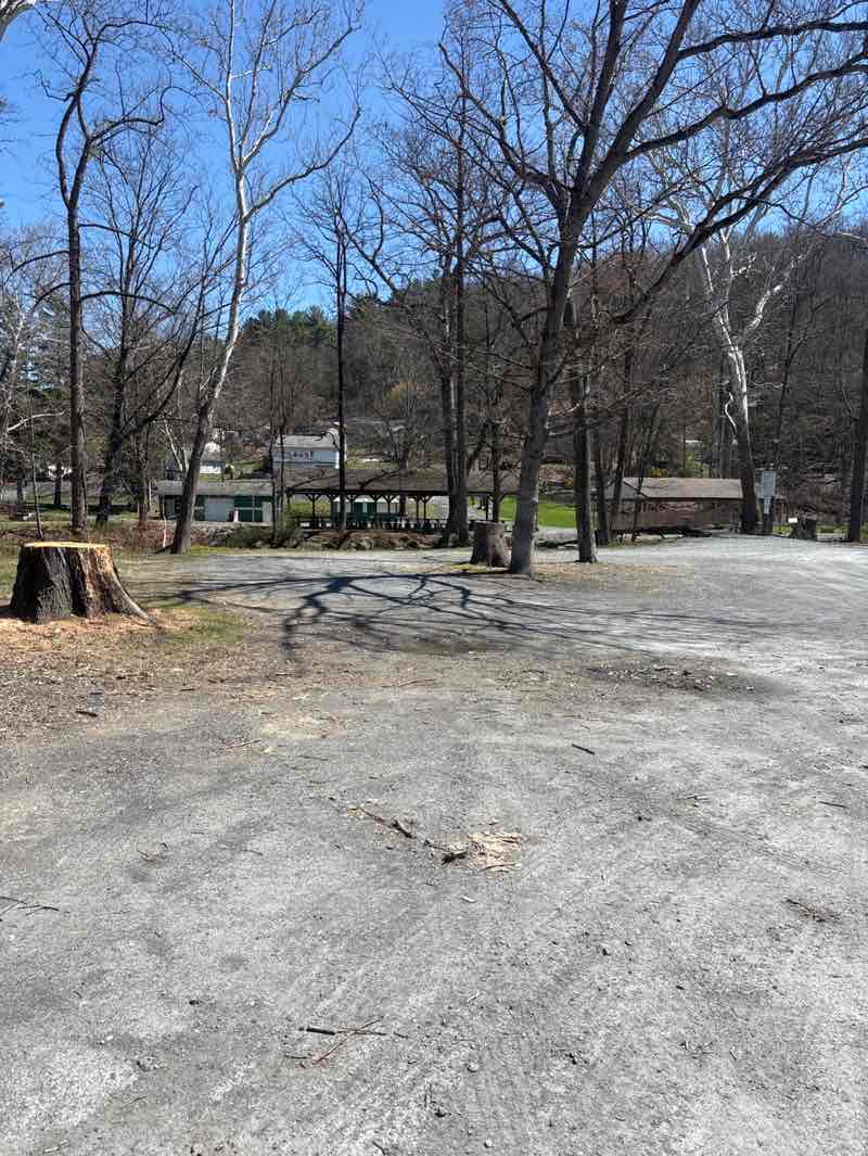 walking near me in Indian Trail Park in spring