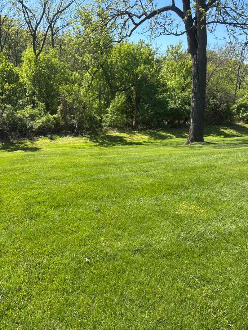walking near me in Fox Park in spring