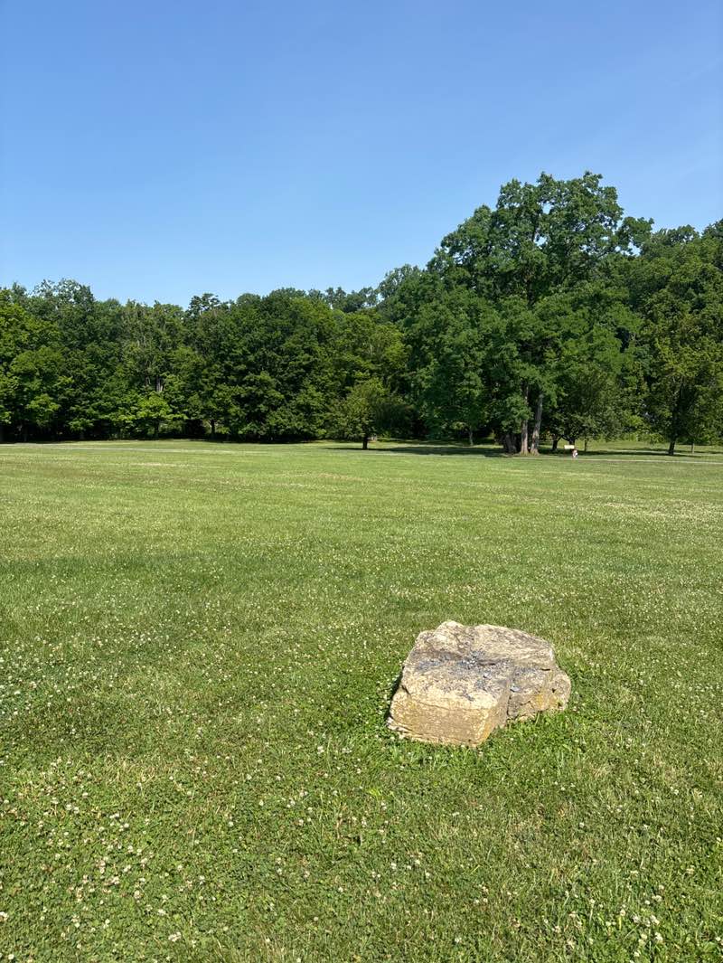 walking near me in Lehigh Parkway in summer