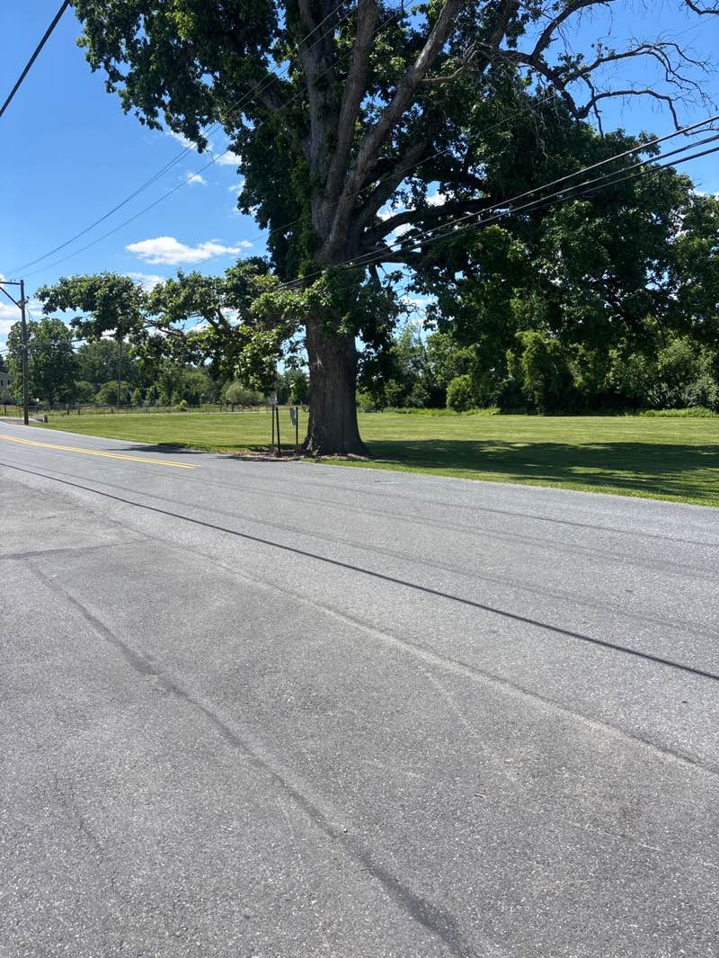 walking near me in Georgetown Road Park in summer