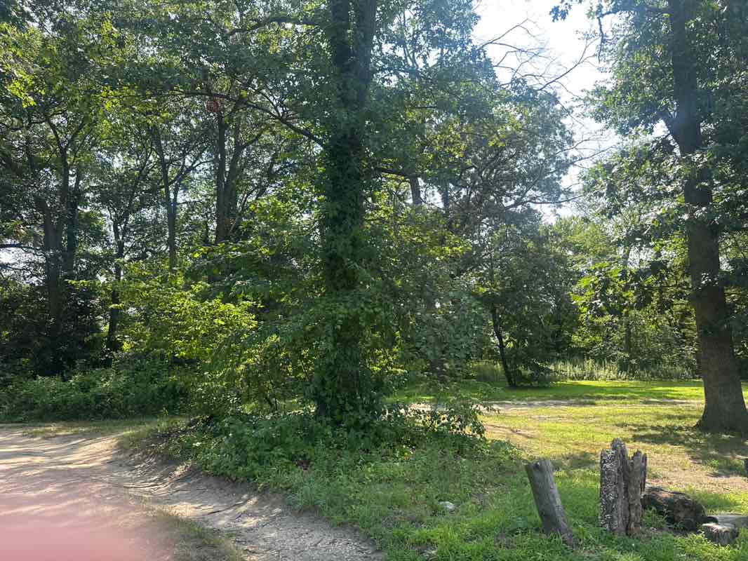 walking near me in Temple Place Park in autumn