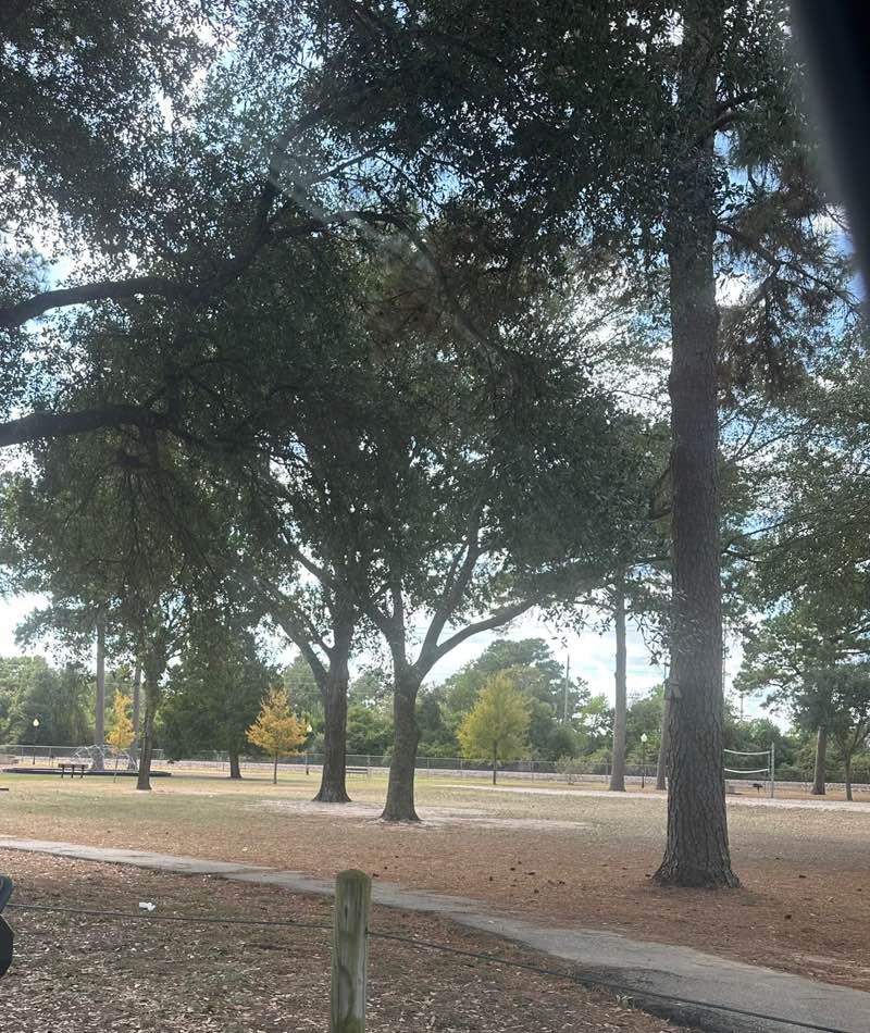 walking near me in Jurgens Park in autumn