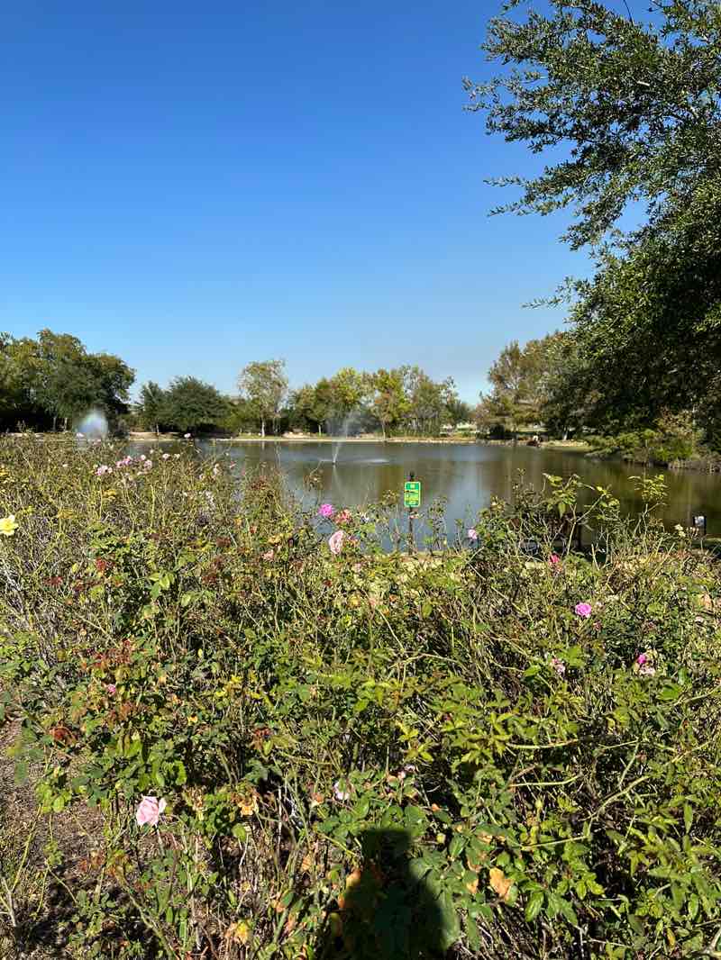 walking near me in Memory Park in autumn