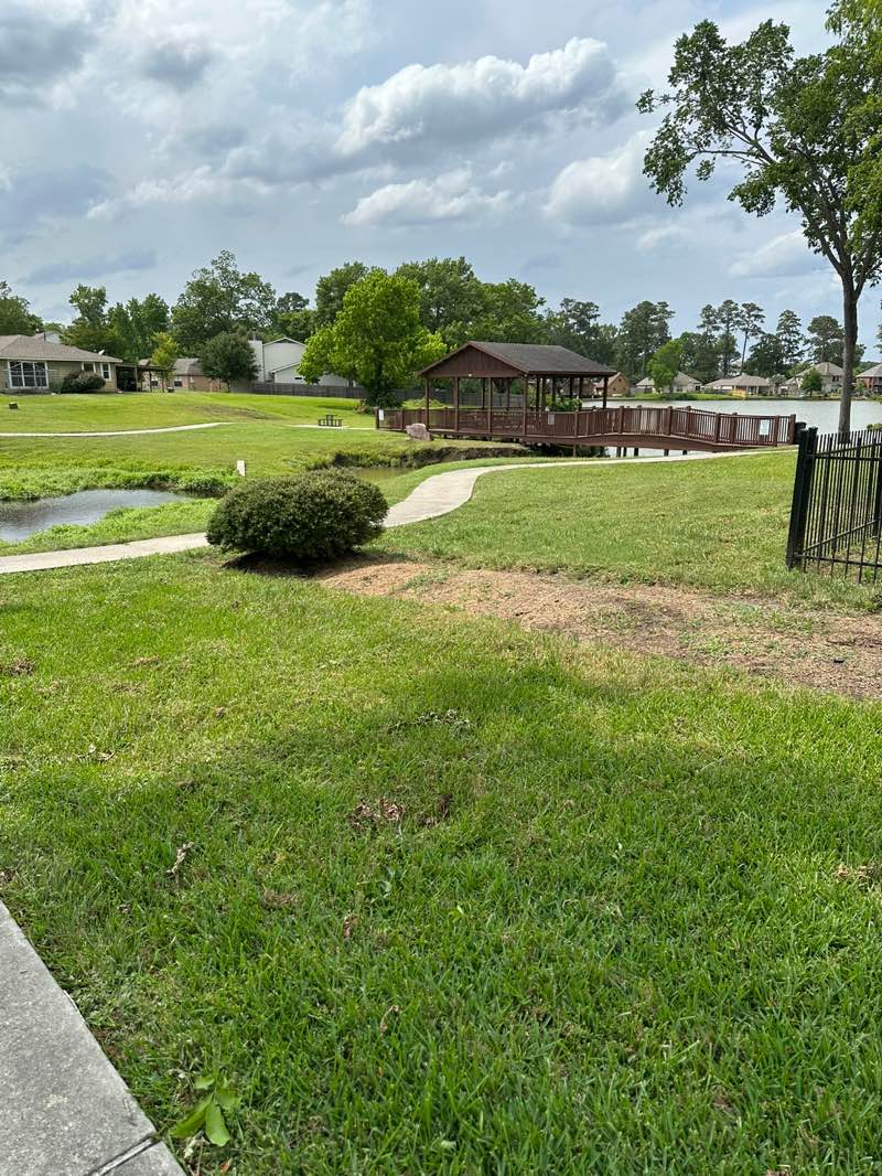 walking near me in Stanley Lake MUD Park in spring