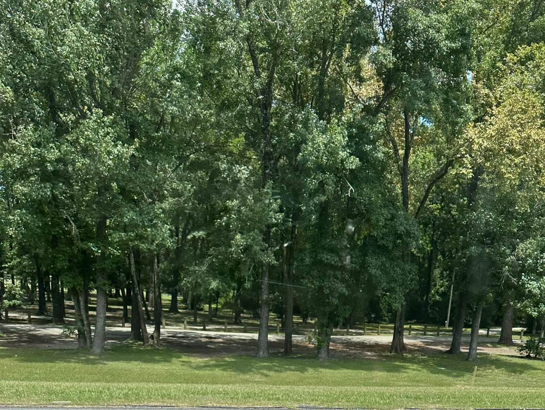 walking near me in McDade Park in autumn