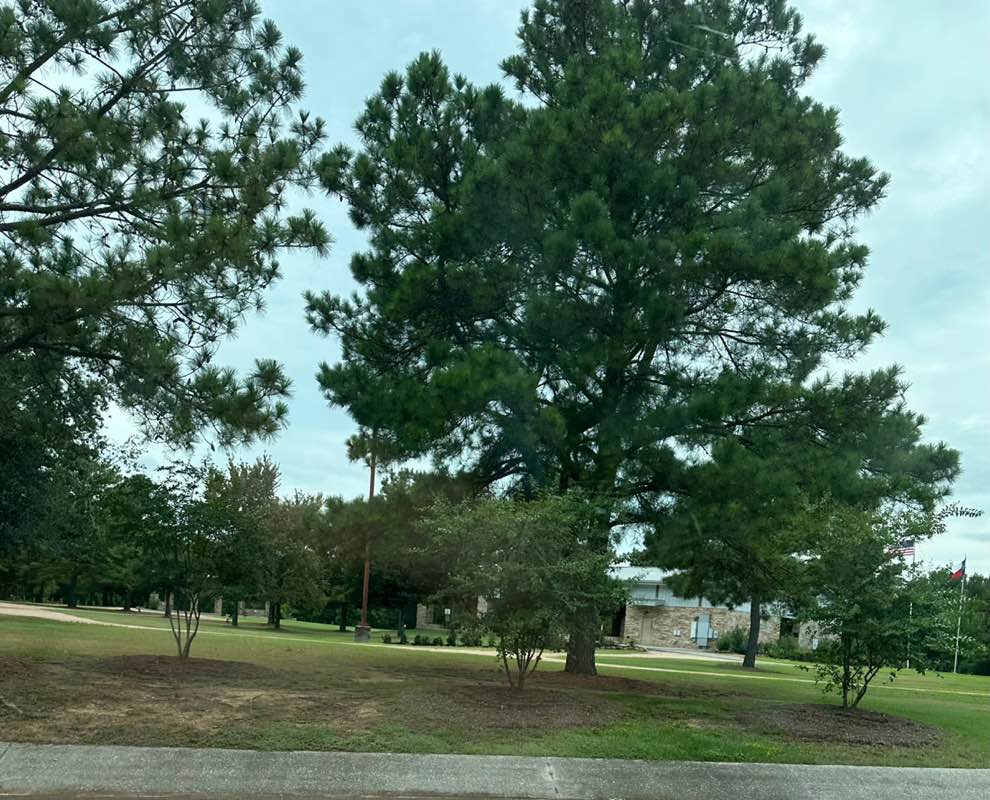 walking near me in Unity Park in autumn