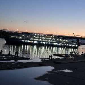 🐯Jasmina 🐯 profile