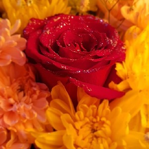 زينب حسين الخطام profile