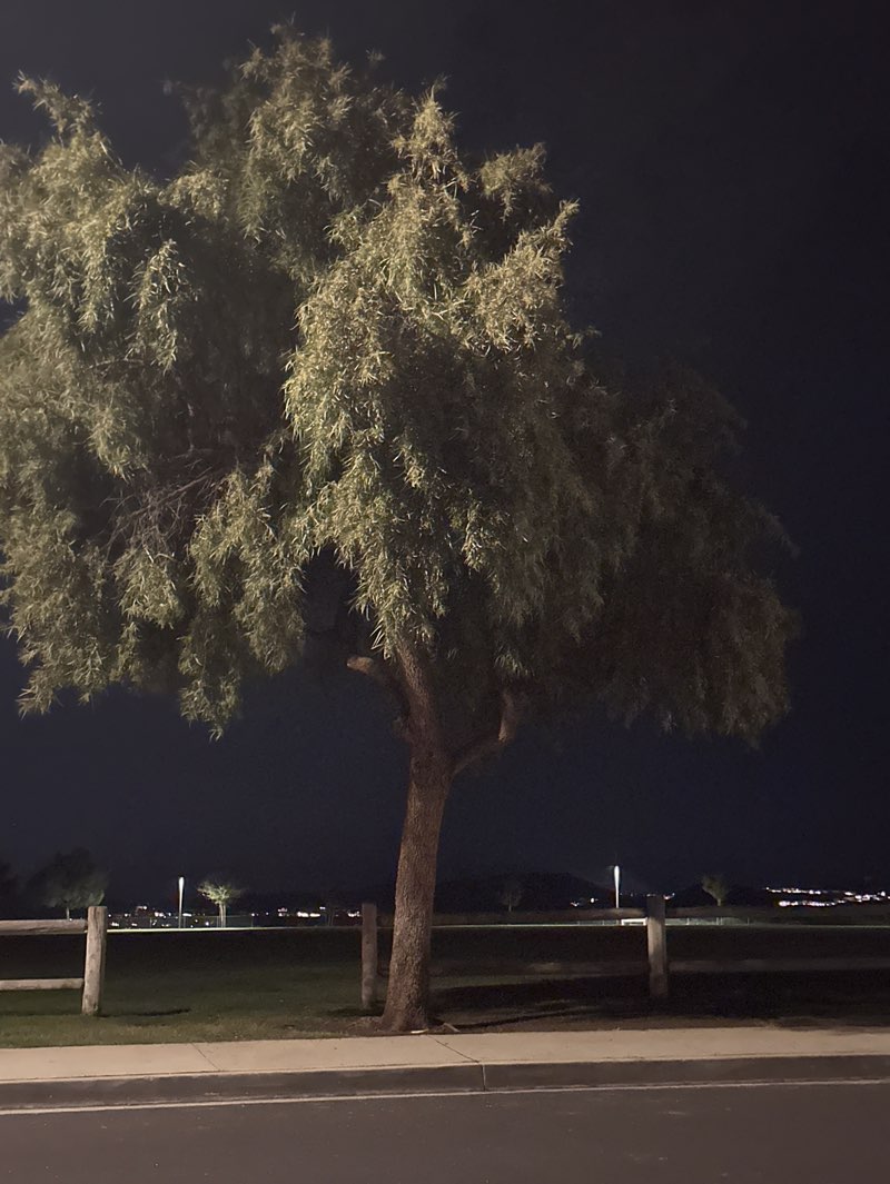 walking near me in Pacific Crest Park in winter