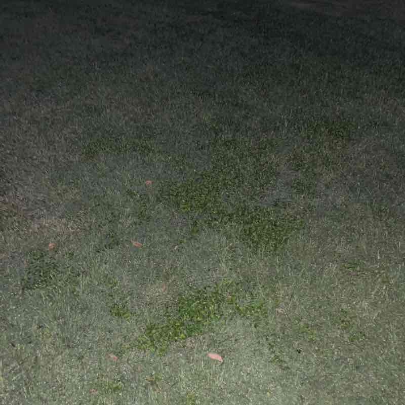 Donovan post 1