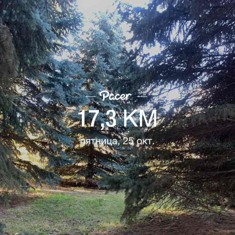 Меруерт 🇰🇿 post 1