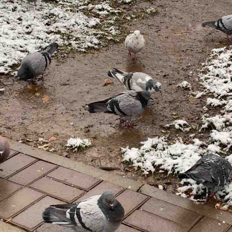 Меруерт 🇰🇿 post 2