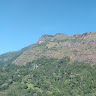 Ashane