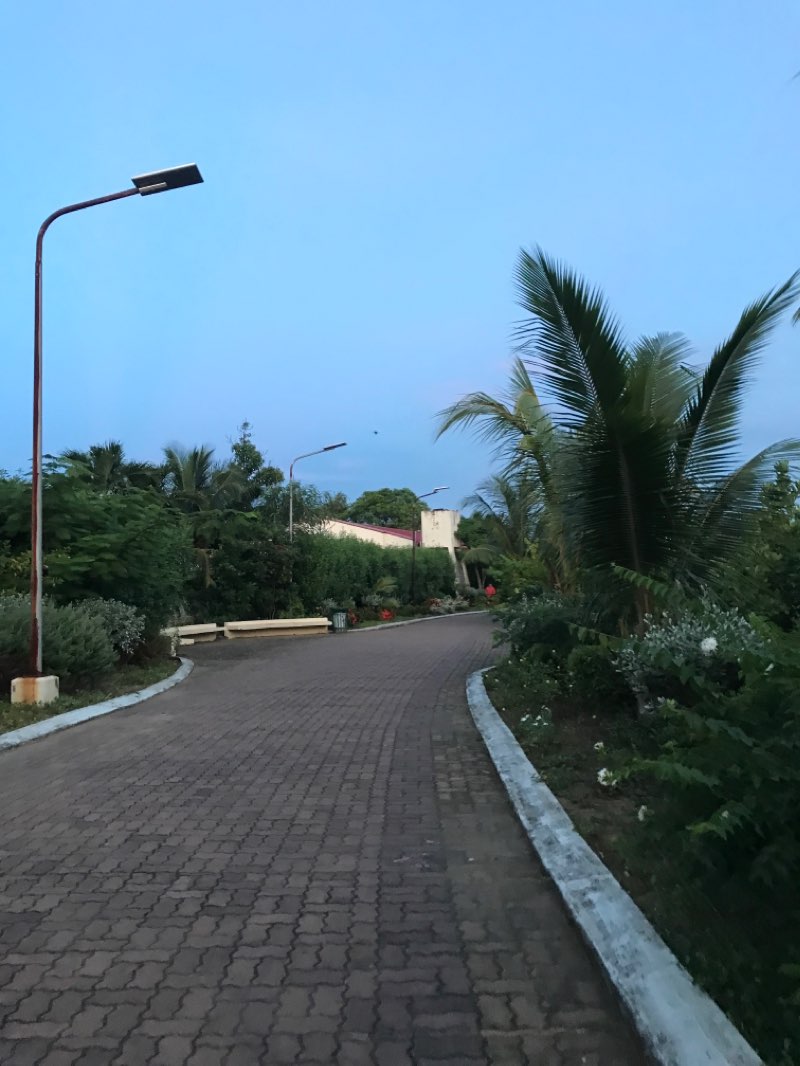 walking near me in Graciano Lopez Jeana Park in winter