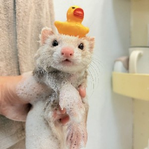 Кристина Ф. profile