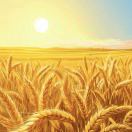 ᥫᩣ 谋生不谋爱🌻