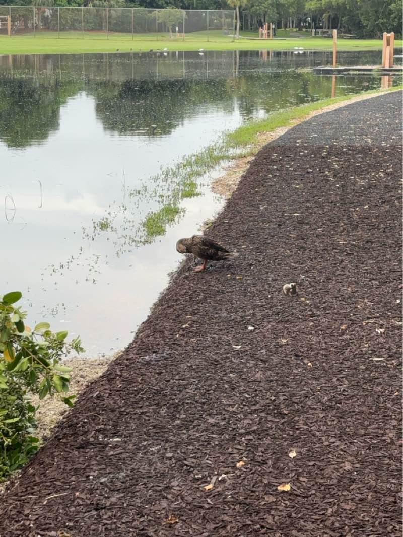 walking near me in Lake Wyman Park in winter