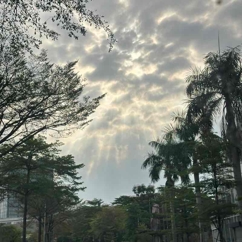 Peekapoo Ngoan Hiền post 1