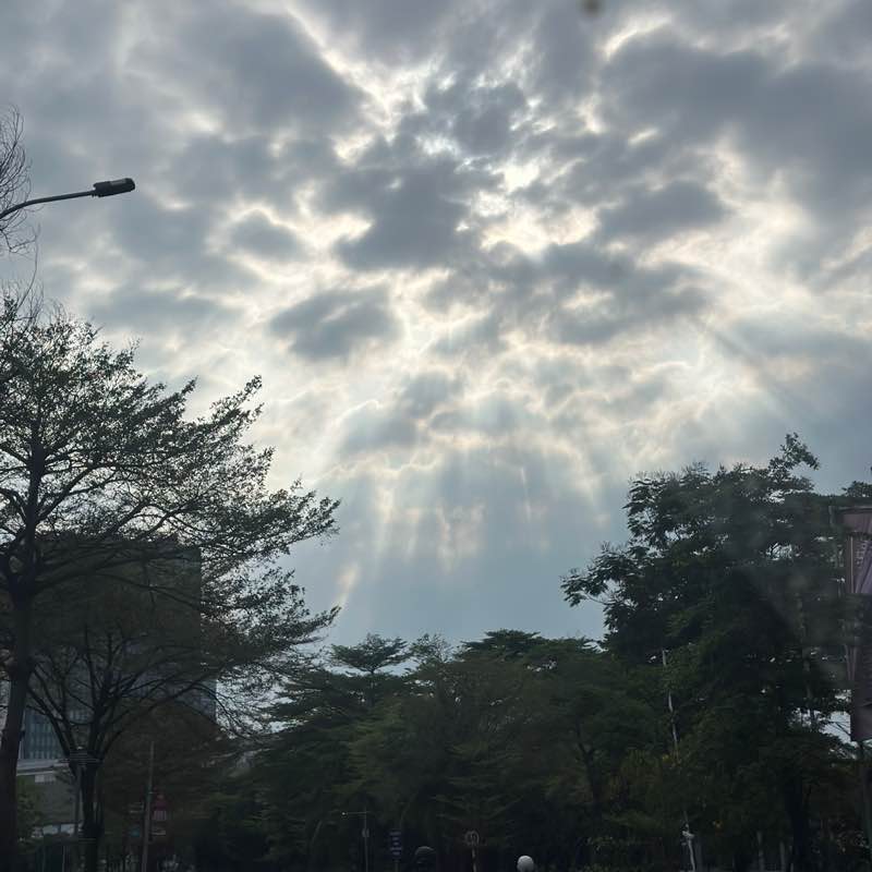 Peekapoo Ngoan Hiền post 1