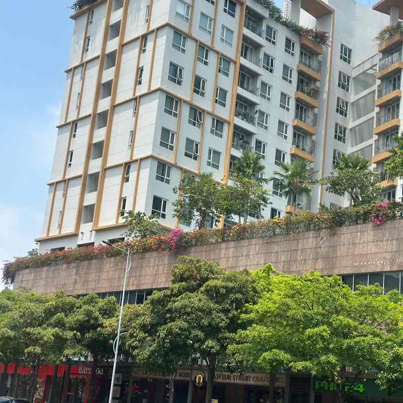 Peekapoo Ngoan Hiền post 1
