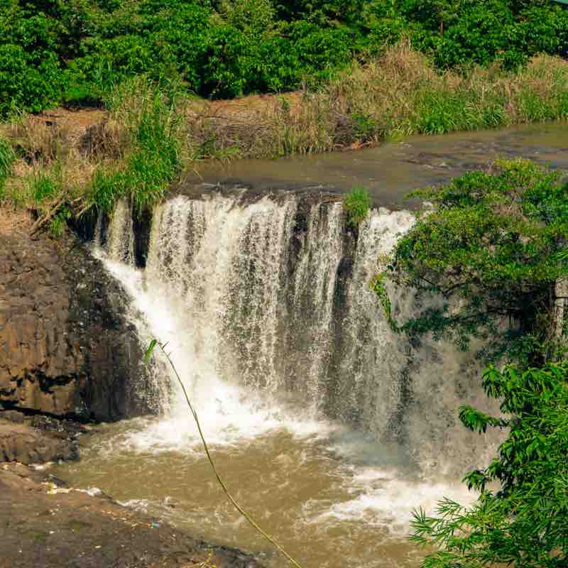 Peekapoo Ngoan Hiền post 1